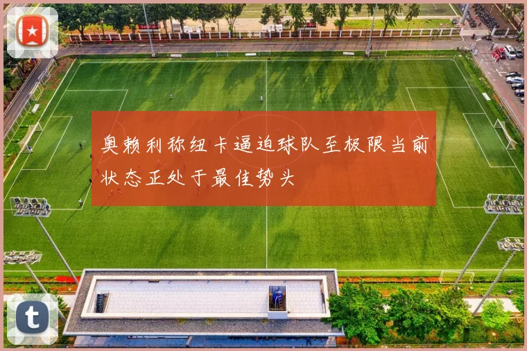 奥赖利称纽卡逼迫球队至极限当前状态正处于最佳势头