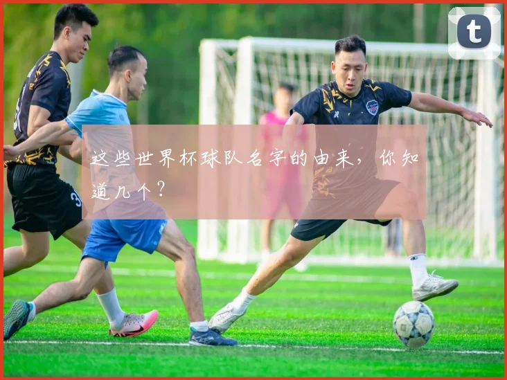 这些世界杯球队名字的由来,你知道几个?