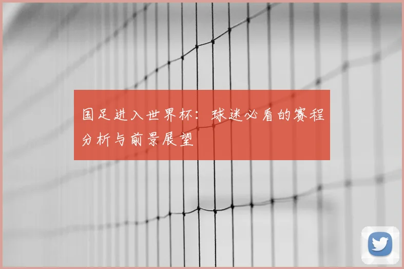 国足进入世界杯：球迷必看的赛程分析与前景展望