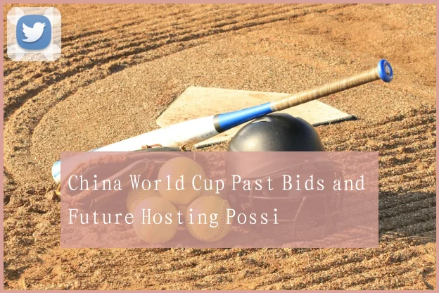 China World Cup Past Bids and Future Hosting Possi
