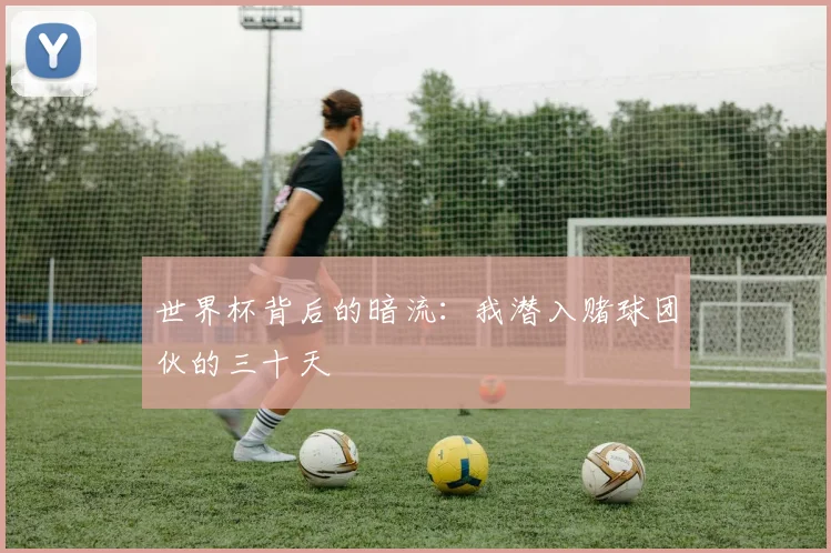 世界杯背后的暗流:我潜入赌球团伙的三十天