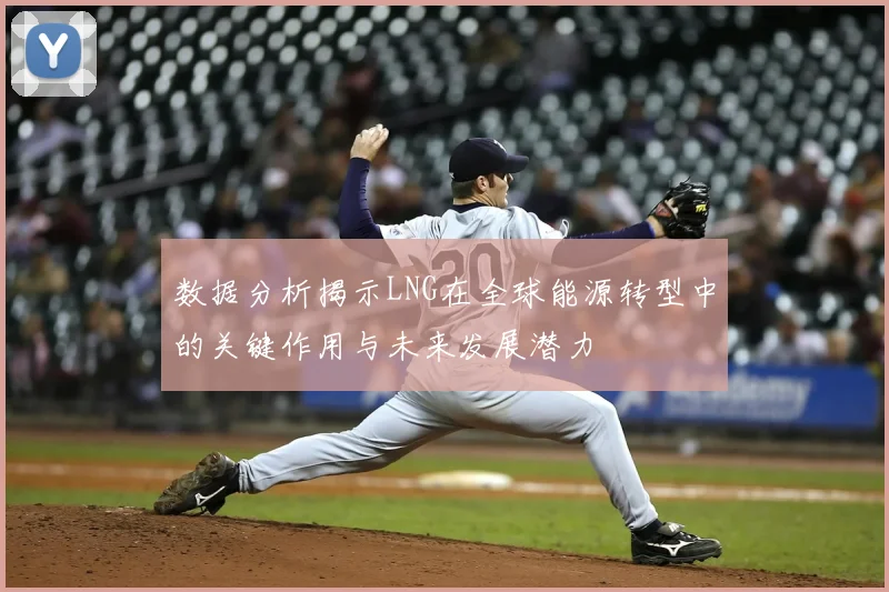 数据分析揭示LNG在全球能源转型中的关键作用与未来发展潜力