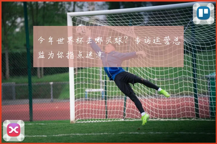 今年世界杯去哪买球?专访运营总监为你指点迷津