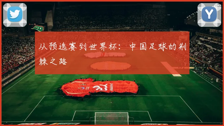 从预选赛到世界杯:中国足球的荆棘之路
