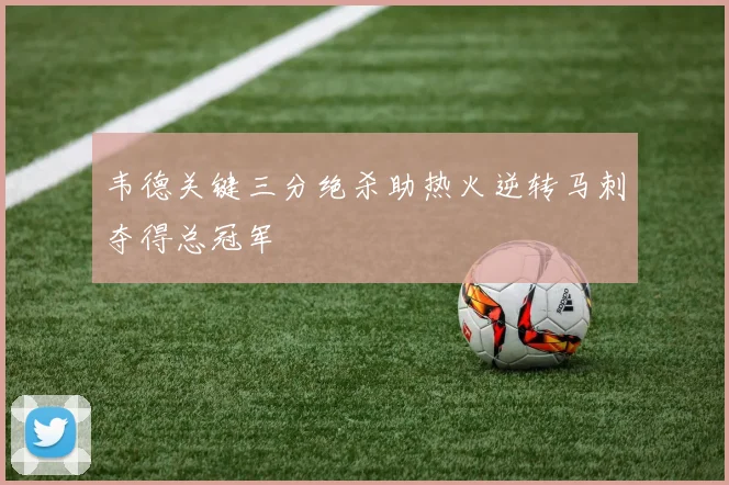 韦德关键三分绝杀助热火逆转马刺夺得总冠军
