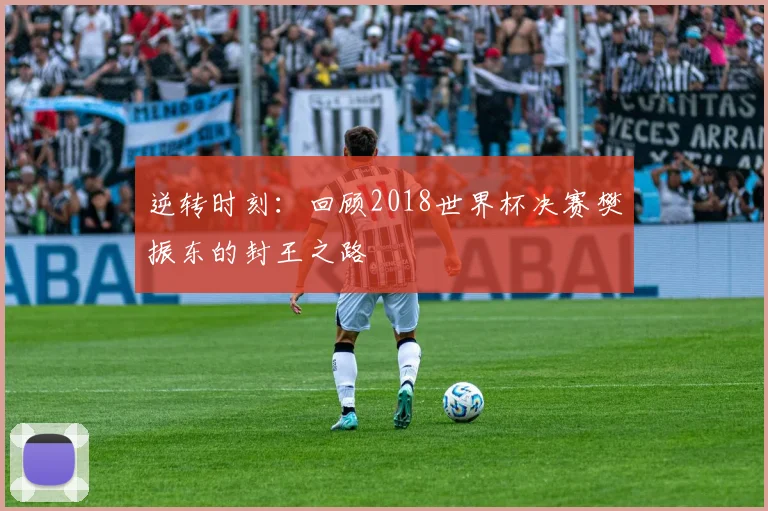 逆转时刻:回顾2018世界杯决赛樊振东的封王之路