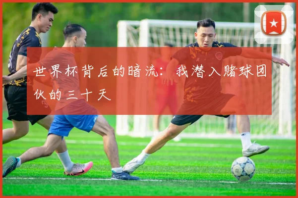 世界杯背后的暗流：我潜入赌球团伙的三十天
